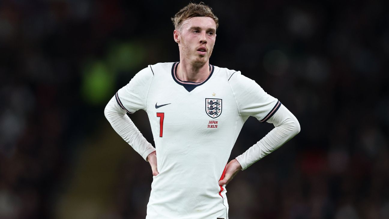 帕尔默谈世界杯落选：看英格兰对墨西哥时半场睡着了